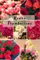 Гортензія волотиста Самарська Лідія (Hydrangea paniculata Framboisine® ‘Rensam’) - 1