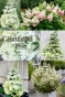 Гортензія волотиста Confetti® (Hydrangea paniculata Confetti®) Р9- 0.5л - 1