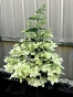 Гортензія волотиста Confetti® (Hydrangea paniculata Confetti®) Р9- 0.5л - 2